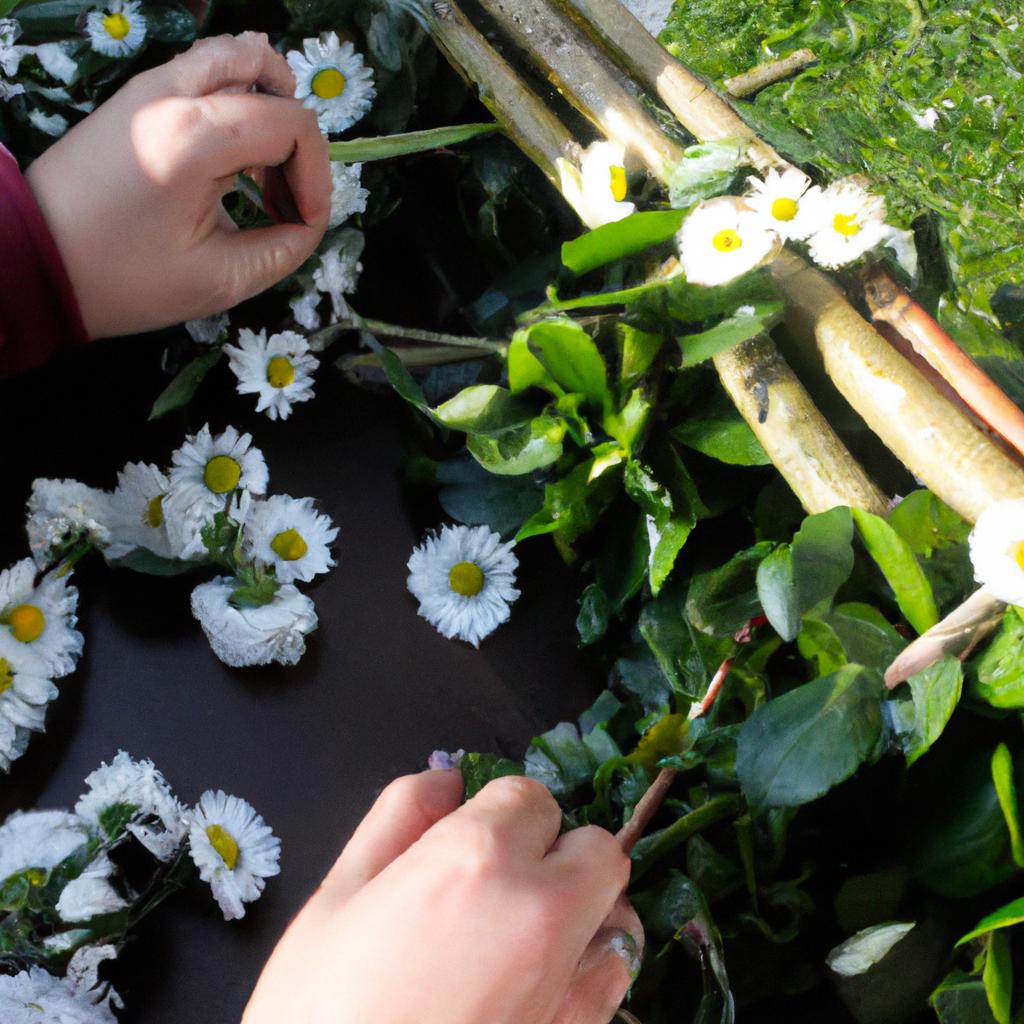 Person arranging daisy flower arrangements